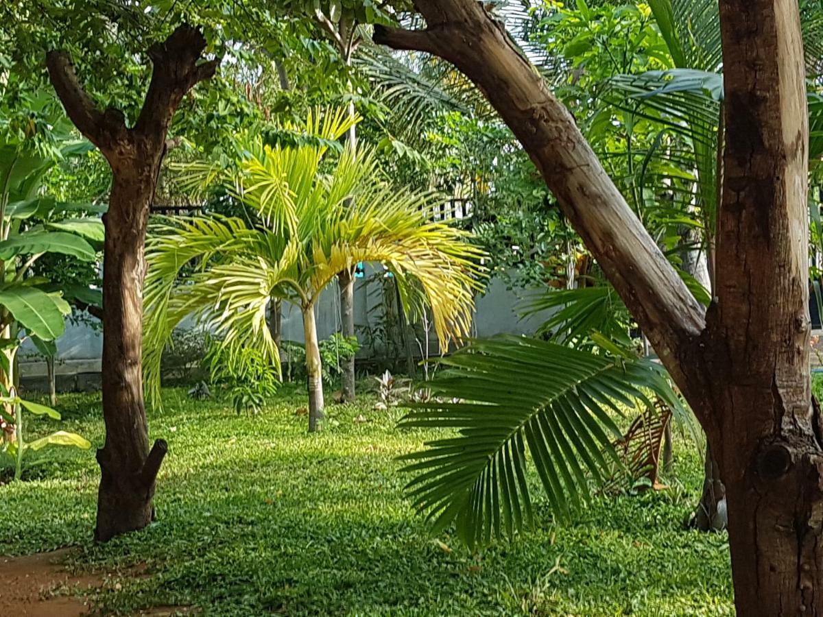 Luna Beach Hotel Nilaveli Exterior foto